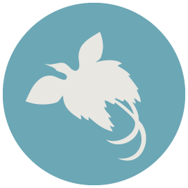 pays-papua-new-guinea.png