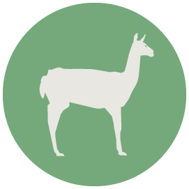 pays-peru.png