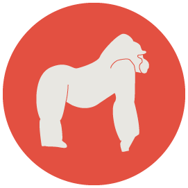 pays-rwanda.png